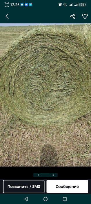 Продам сено свежий укос
