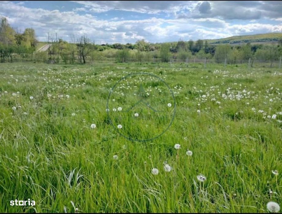Teren Intravilan De Vanzare – 1.000 Mp