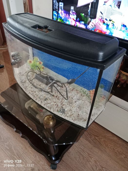 Фабричный аквариум.