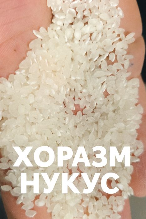 Хоразм гуруч база, оптом перечисления бор, Xorazm guruch optom