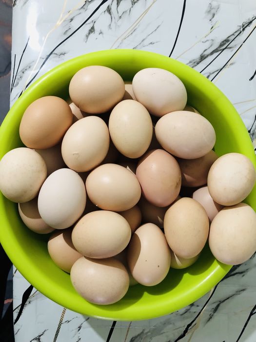 Домошний яйца ..