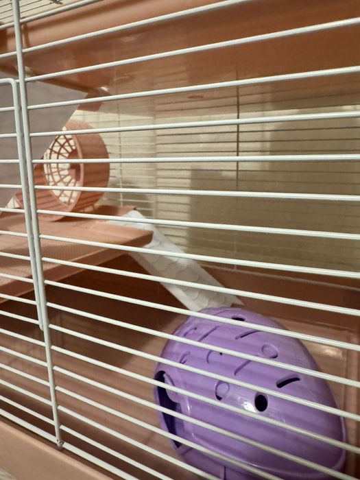 Клетка для грызунов, хомяков б/у