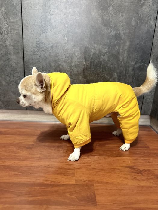 Продается НОВЫЙ комбинезон для собак