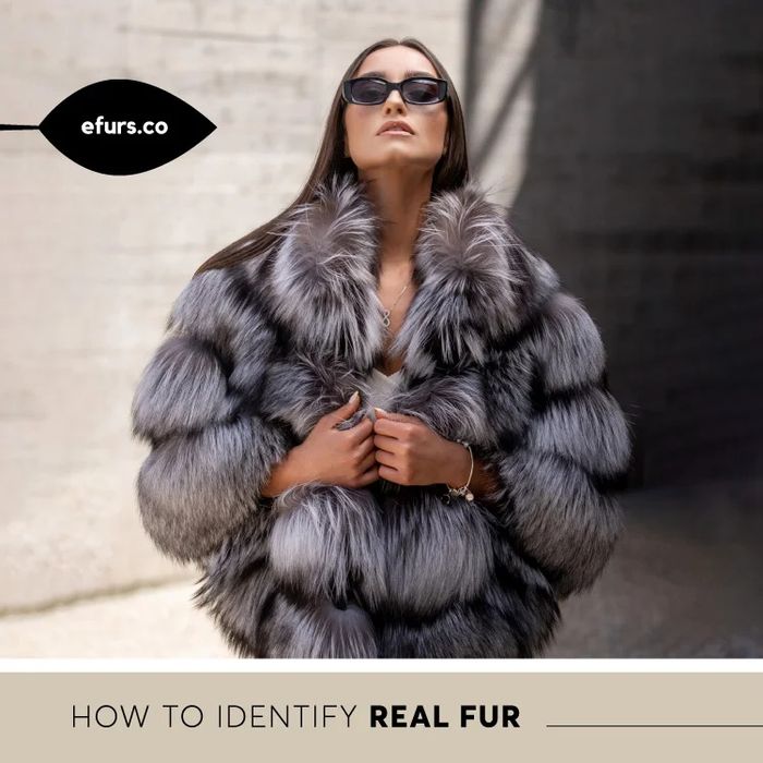 Haine de blana reparatii modificări