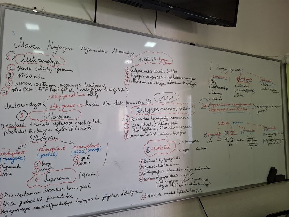 Biologiya va Kimyo repetitor.IBN SINO maktabiga sifatli tayyorlov