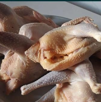 Продаётся куры домашние  утки