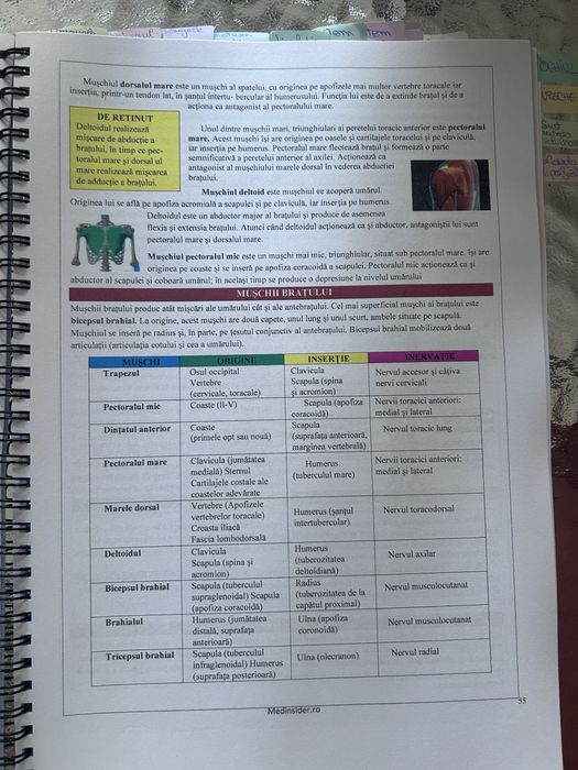Sinteze Biologie Barrons Medinsidee