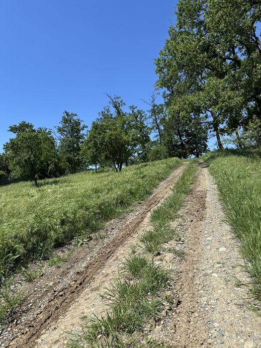 Teren de vanzare Branesti , langa padure si lac