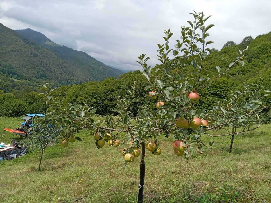 Парцел в село Рибарица - област Ловеч
