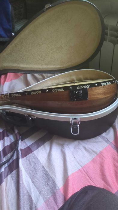 Электрондық кәсіби домбыра