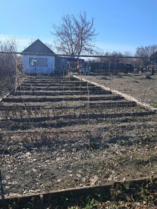 Продам дачный участок с домиком