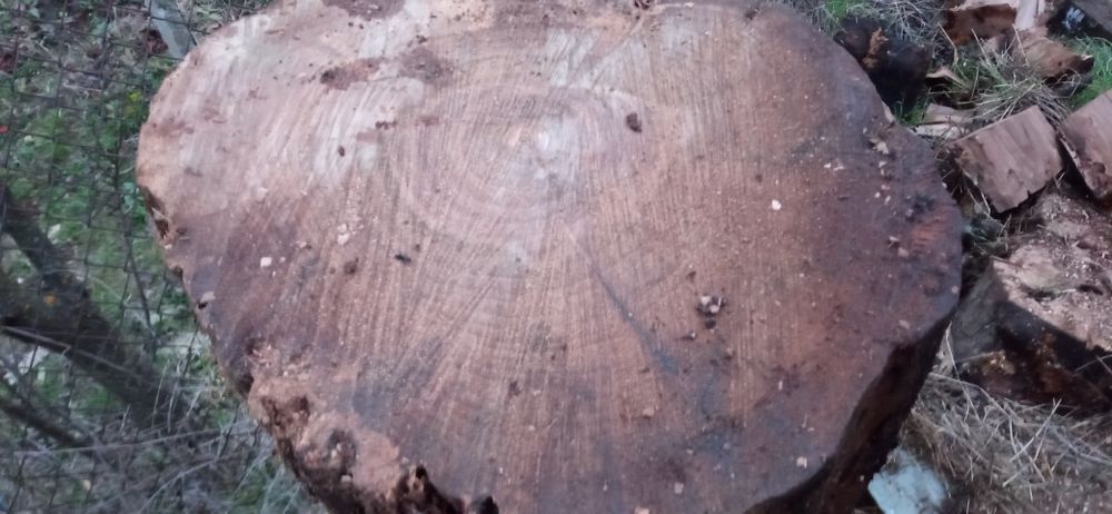 Орех и шайби от ореха