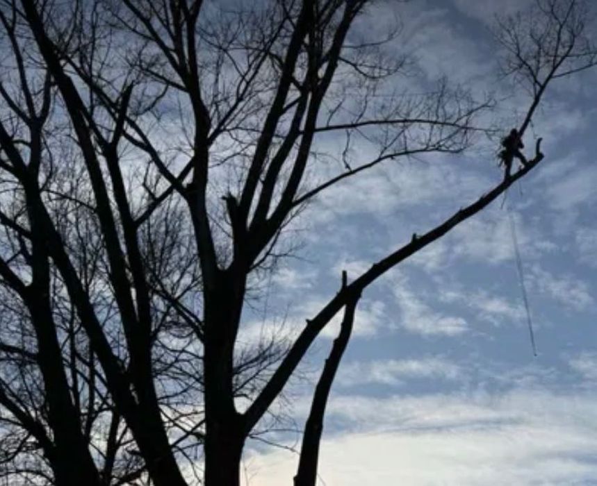 Алпинист (Арборист) 24/7