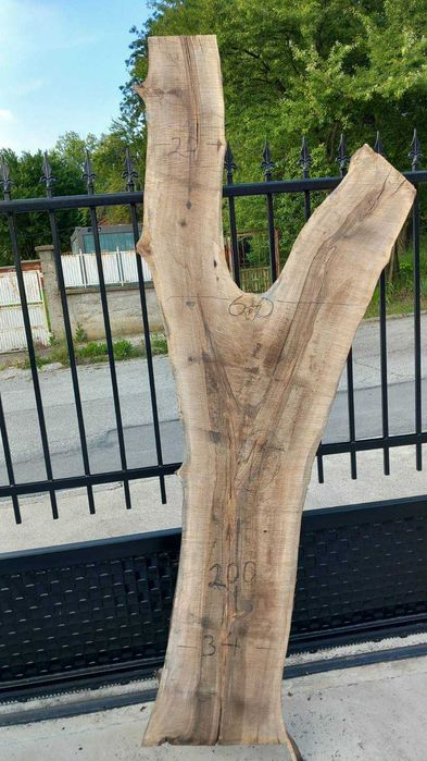 Орехови янове 6 см