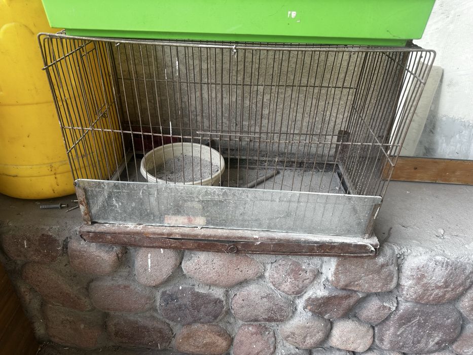 Клетка дли хомяк и клетка