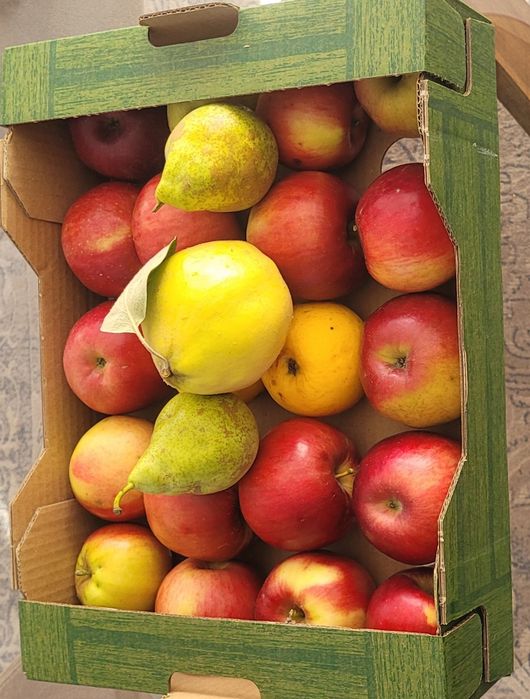 Lădița cu fructe de sezon