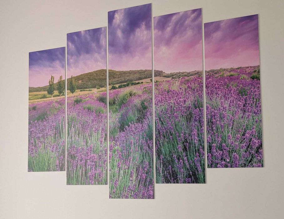 Studio cu doua camere (open space)