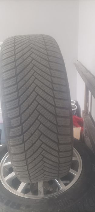 Surhondaryo jarqurgʻon