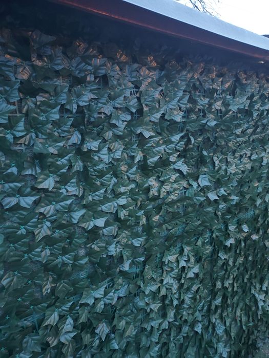 Gard Verde Inaltime 2 Metri