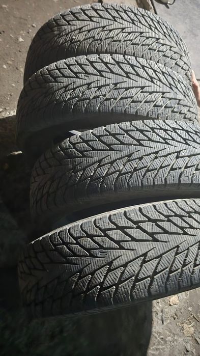 Шины зимние cardiant