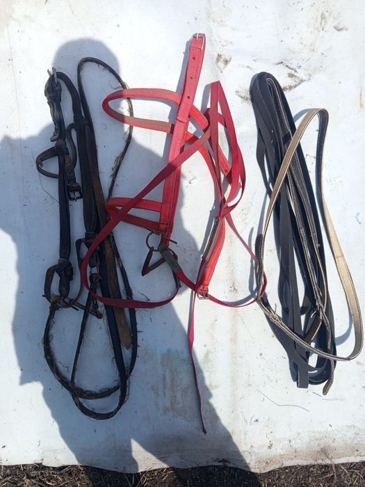 Продам уздечки и вожжи
