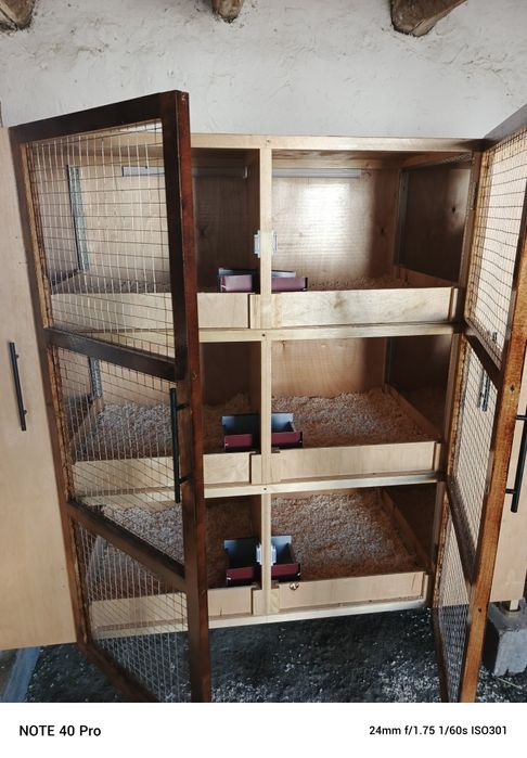 Куенлар учун куен кафас