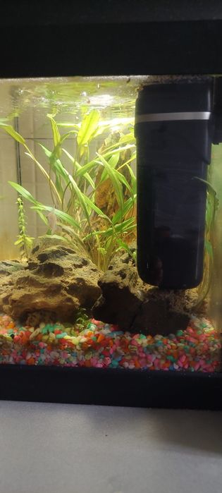 Acvariu autociclabil