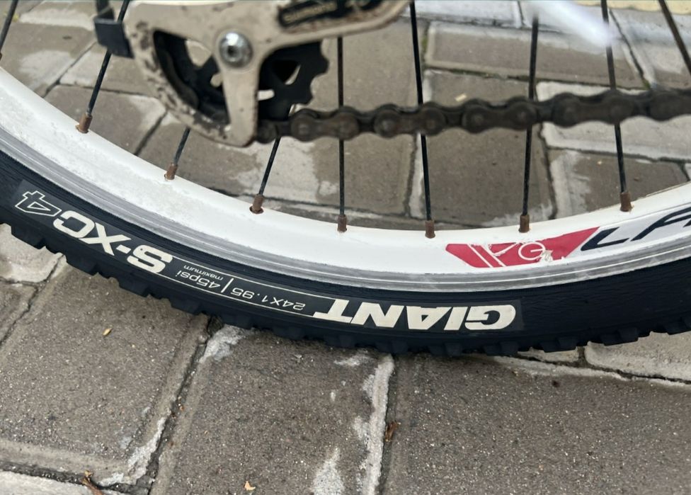 велосипед Giant areva 24  (  trek centurion scott Merida cube author