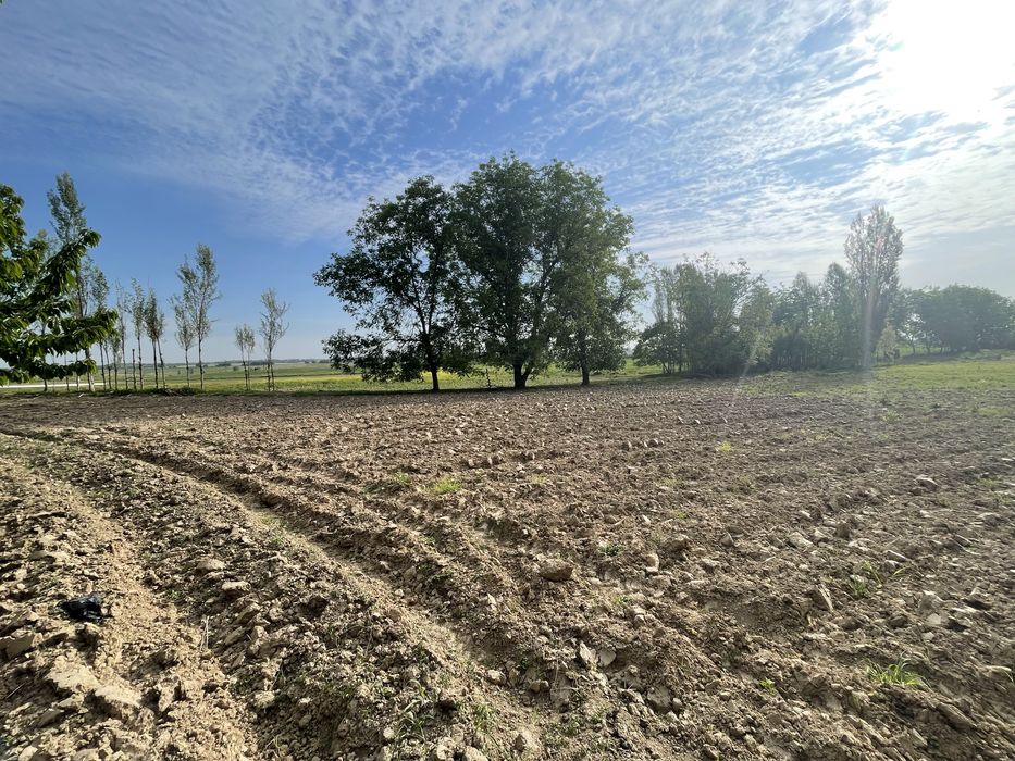 Yangiyo’lda uchastka sotiladi