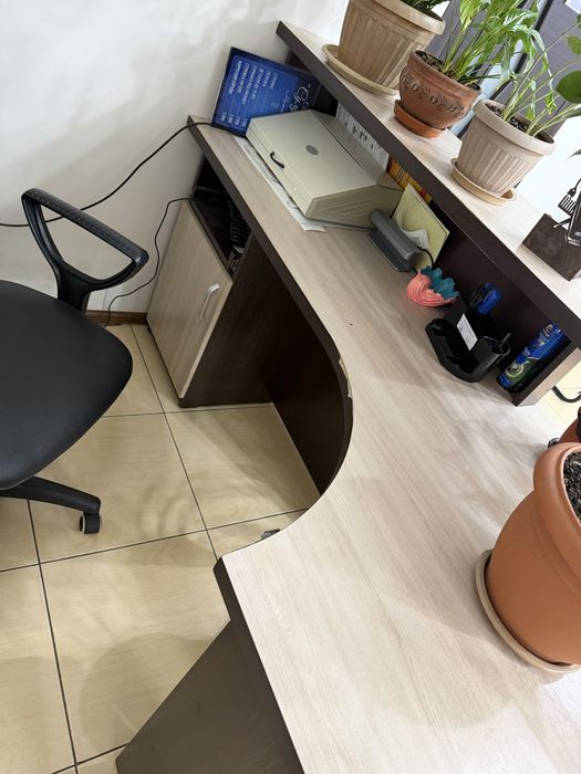 Рецепшен, витрина