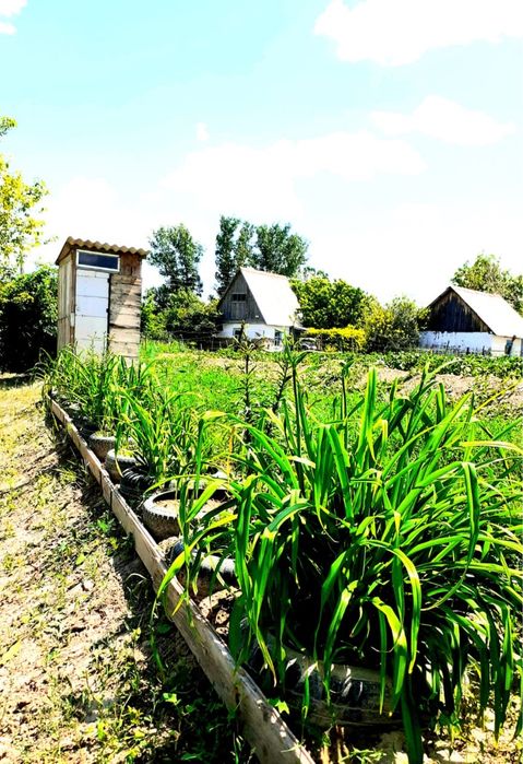 Дача продается/ Саяжай сатылады