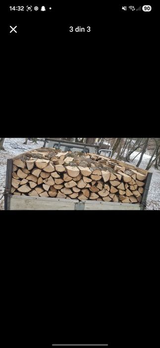 Lemn de Foc esență tare