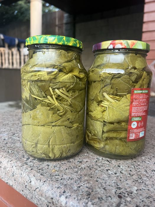 Виноградный листья