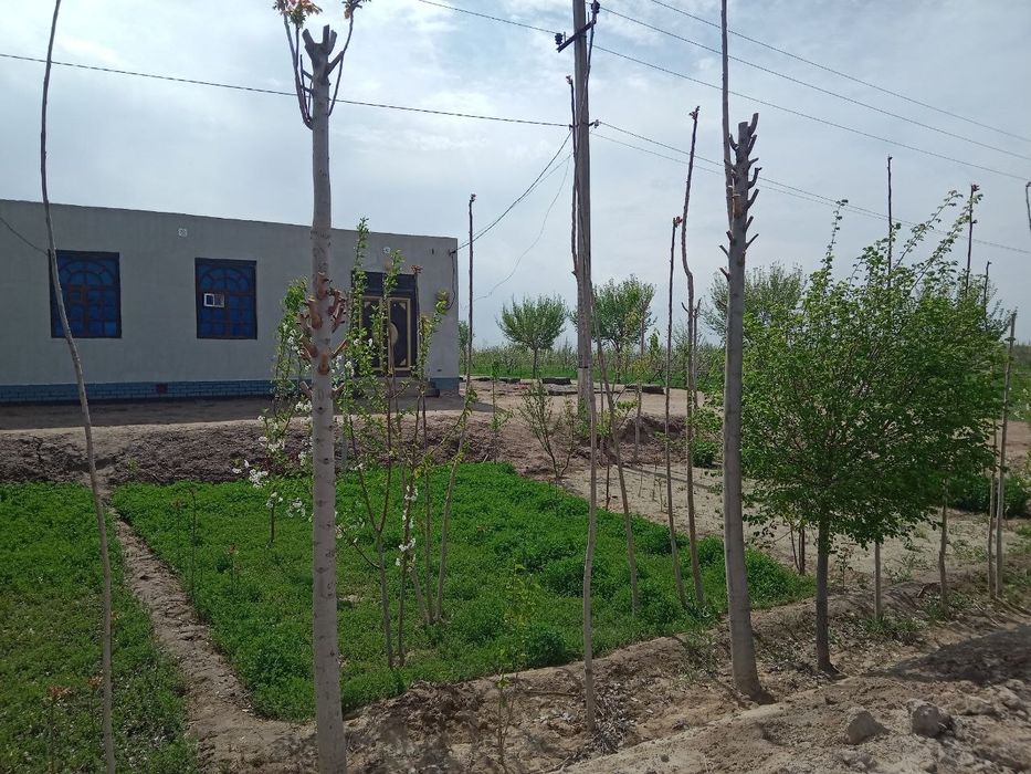 Uy sotiladi narxi kelishiladi !!!