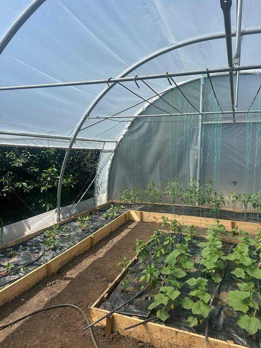 Teren de INCHIRIAT - Ideal pentru agricultura, livada, agrement sau camping!
