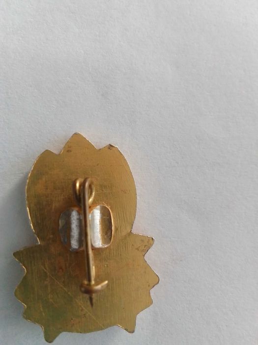 Значка "Винаги готов"