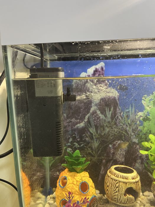 Продам аквариум с рыбками и еще много чего