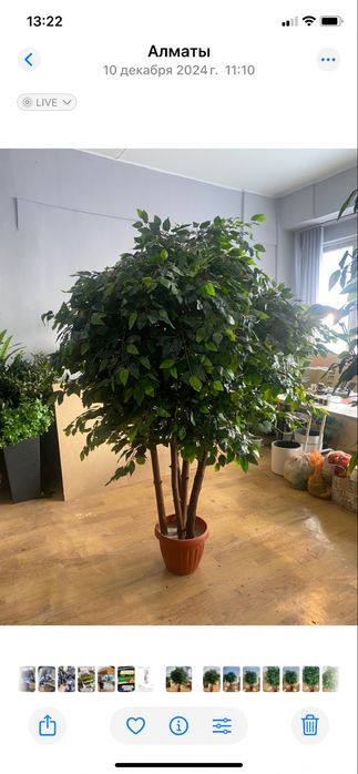 Искусственные деревья