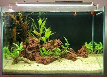 Дизайн аквариума.