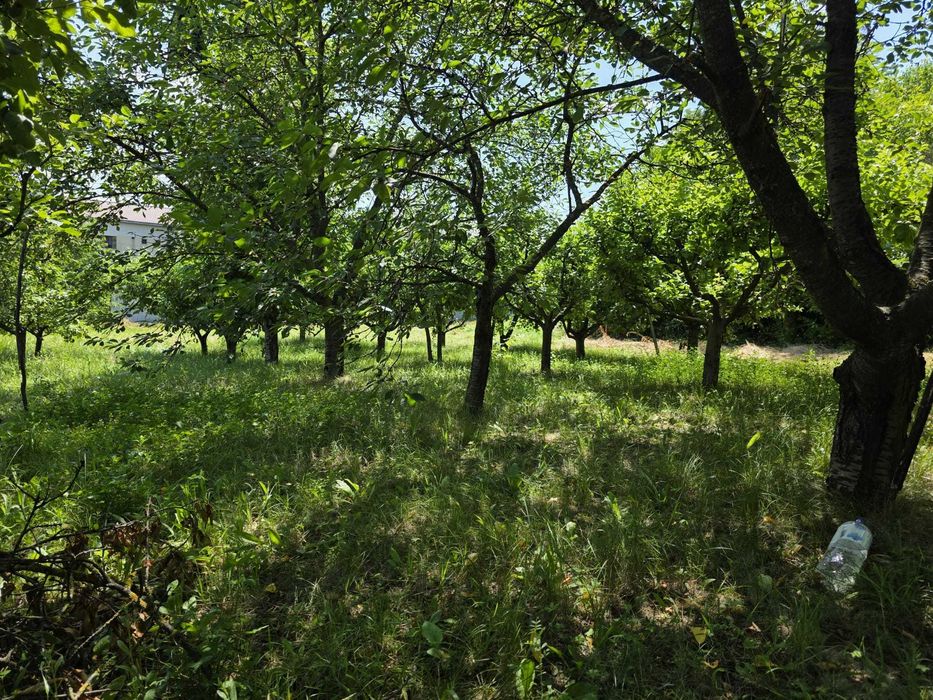 Teren intravilan – 3 loturi egale – Str. Săvenilor, Botoșani