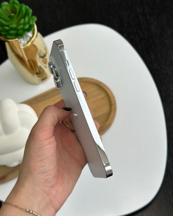 iPhone 14 Pro Max 256 Gb Silver Neverlock