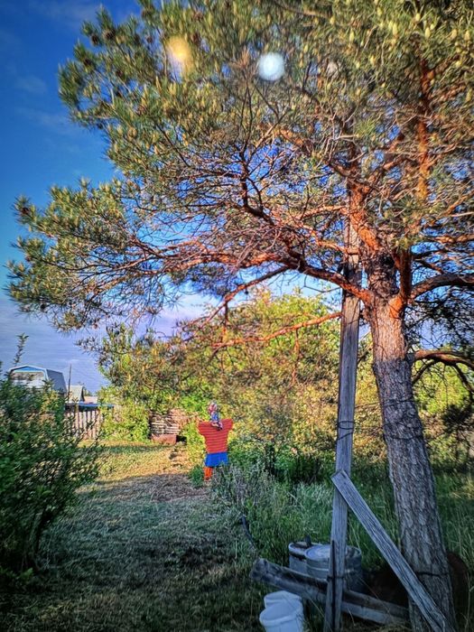 Дача на федоровском водохранилище