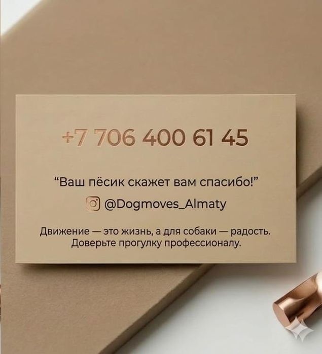 Выгул собак в Алматы