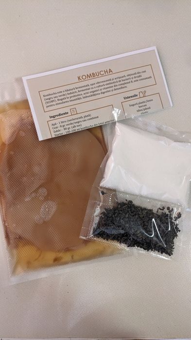 Kit cultura kombucha