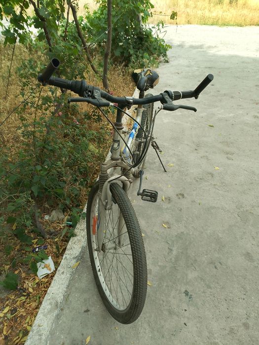 2ta velik bor sotaman