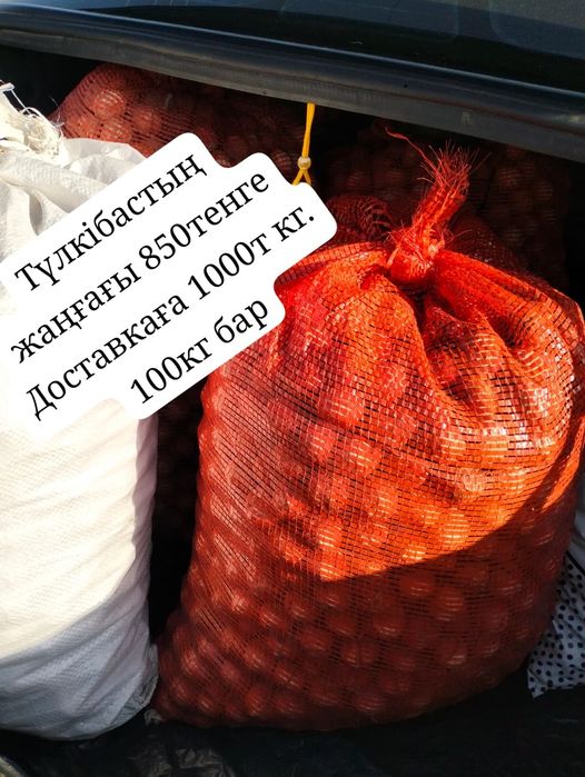 Түлкібастың жаңғағы