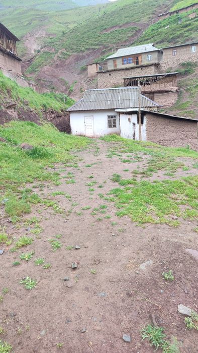 Telifon da malulod beriladi