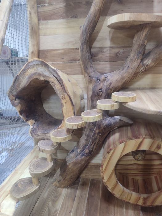 Продам клетку для шиншилл