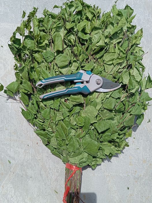 Травы   для бань