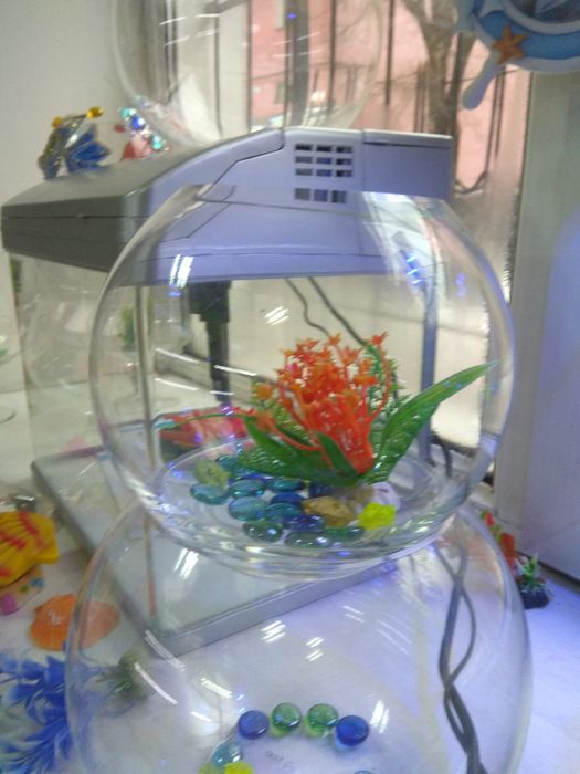 Рюмка5л .В Афалине.Навои Торайгырова